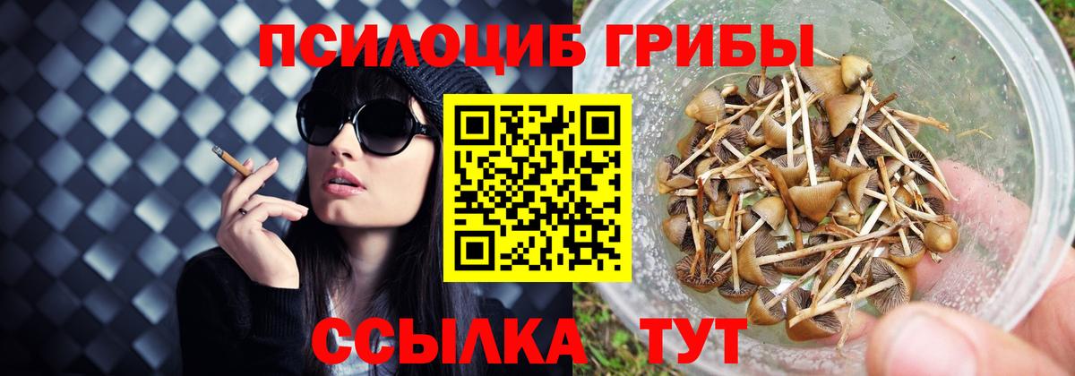 Губкин  что такое   Вход с VPN  Галлюциногенные грибы ЛСД 